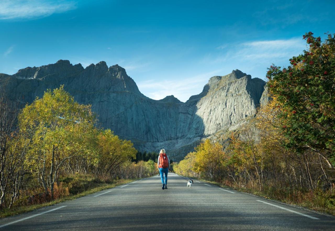Lofoten Cottages By Nussfjord Exteriér fotografie